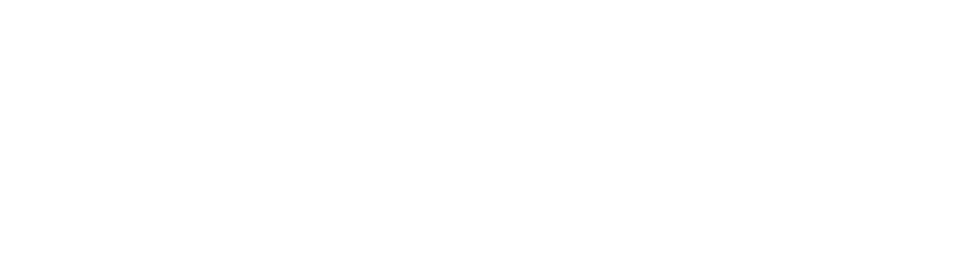 NAVACORP ONLINE Logo